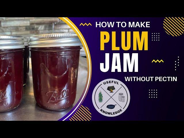 Plum Jam | Useful Knowledge