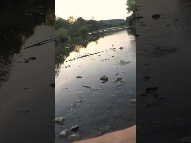 Evening fishing on a small river