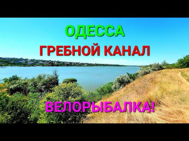 Гребной канал Одесса. Обзор. Рыбалка. Велотур. Добрый Хутор. Сухой Лиман. Карп на удочку. #зоотроп