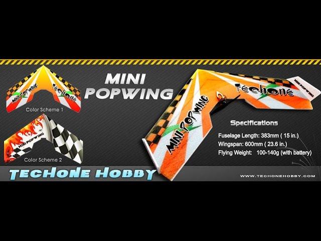 TechOne Hobby Best Seller-Mini Popwing-600mm-Small combat wing