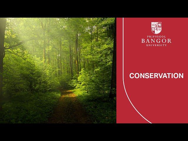 Virtual Open Day - Conservation