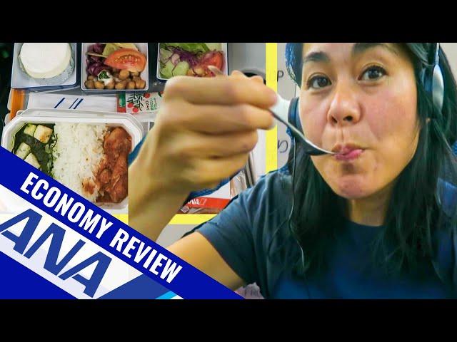 ANA All Nippon Airways ECONOMY Review | Is it Worth It?