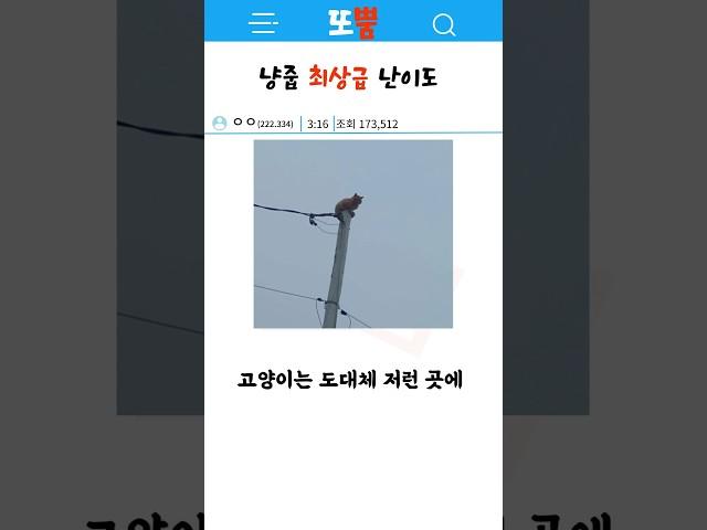 냥줍 최상급 난이도를 경험한 소방관