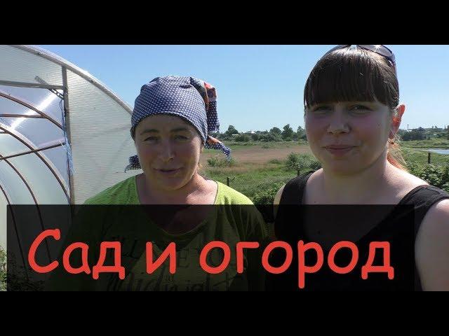 Что мы всё о коровах и коровах.. Прогуляемся ПО нашему САДУ и ОГОРОДУ