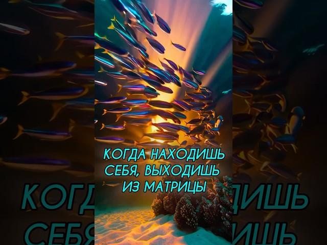 Всего 1% Живут Вне Матрицы. Anar Dreams #осознанность #жизнь #психология #пробуждение #мудрость