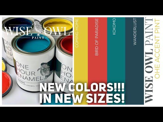 NEW Wise Owl Paint One Hour Enamel Colors | 4 NEW Accent Colors in Pints | Custom Mixing Ideas