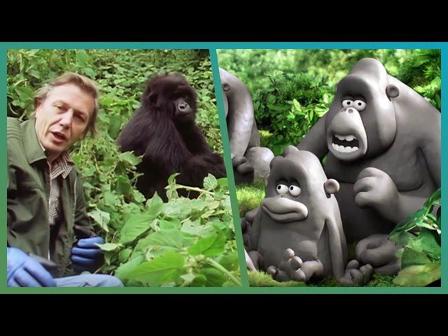 The Gorillas Meet Attenborough ft. Aardman Animations #Attenborough90 | BBC Earth Explore