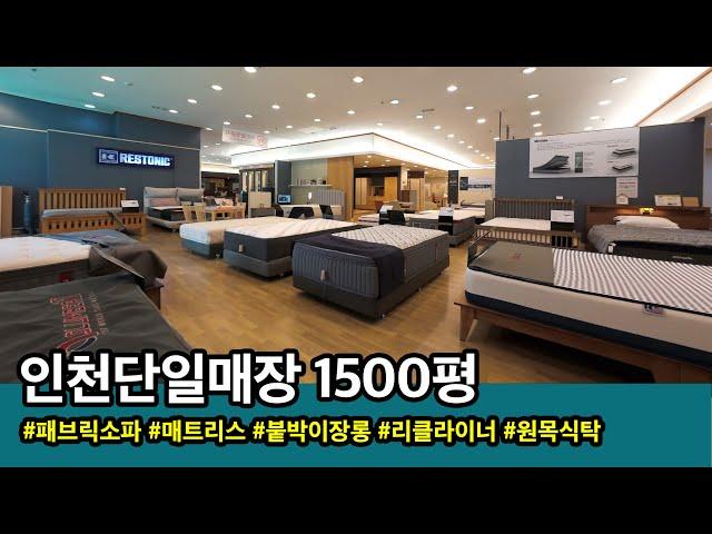 [더빅가구랜드 ] 2025 쇼룸둘러보기 #패브릭소파 #4인용소파 #원목소파 #침대