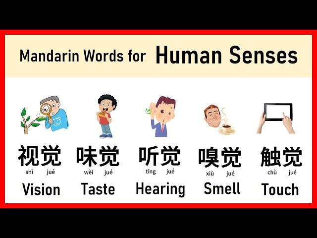 Mandarin words for Human Senses  #learnmandarin #学中文 #learnchinese #mandarin