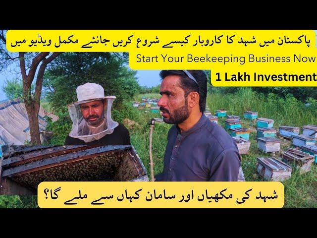 honey bee farming in Pakistan | honey Farming | Bee keeping | honey bees farming Guide