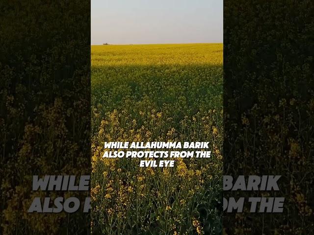 Did you know?The difference between Mashaallah and Allahumma Barik