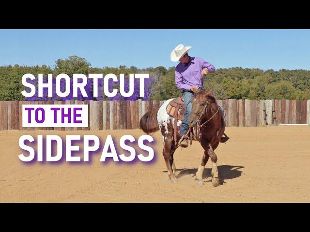 Teach your horse to SIDEPASS in 10 minutes - Pt 1