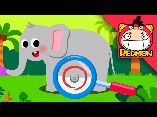 Belly Button song | Super song | Nursery Rhymes | REDMON