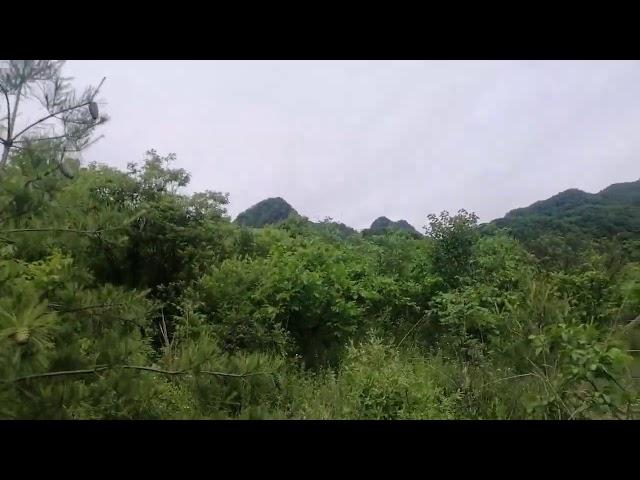 朱科顺 陕西五指莲花风水宝地 龙虎环抱天马朝堂五指拱拜