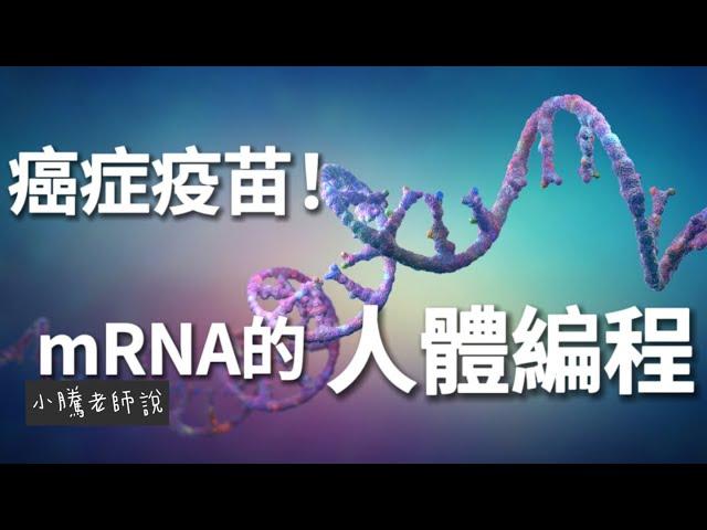 癌症疫苗！ mRNA的人體編程