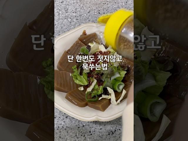 도토리묵 만들기 🫶 #도토리묵 #도토리묵무침 #저속노화 #도토리묵레시피 #도토리묵만드는법