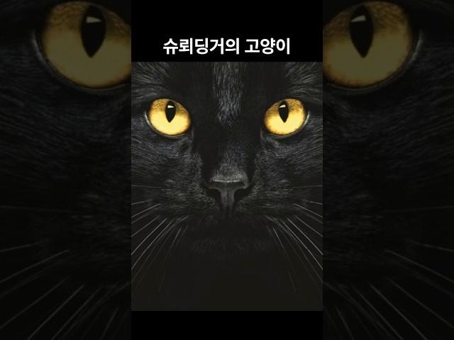1분 상식_과학_슈뢰딩거의 고양이 #양자역학#물리학#이슈#사고실험#science