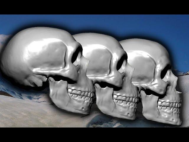 Neanderthal/Human Skull Hybrid Morph