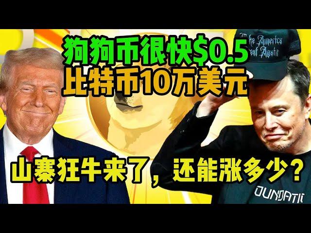 狗狗币将很快站上$0.5，比特币站上10万美元，山寨币狂飙，还能涨多少？