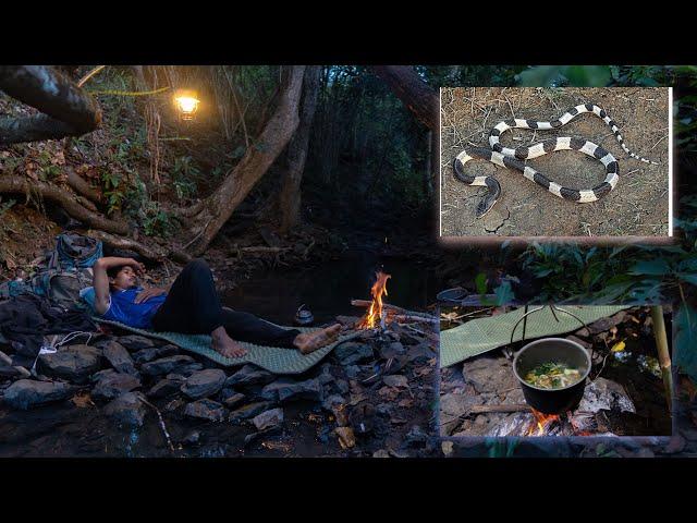 Adventure an cooking sleeping solo ចូលព្រៃរកត្រីគេងមាត់ទឹកត្រូវពស់ក្រាយមកដេកក្បែរ ep 116