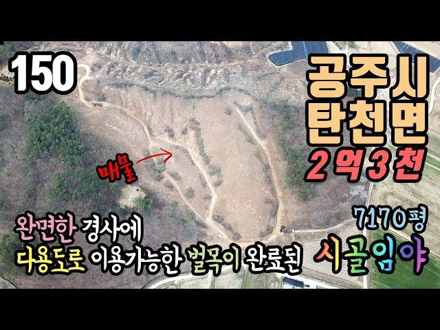 공주부동산 / 공주시 탄천면 유하리 / 완만한 경사에 벌목완료된 임야 / 유실수 약초 산나물 관리사  임업 자연인 / 7170평 농림 & 생산관리 / 농가주택 및 토지 전문