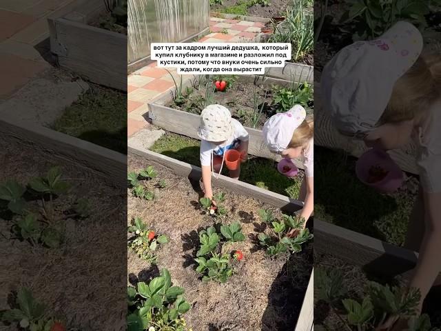 Я плачу моим детям очень повезло с бабушками и дедушками🫶#декрет #мама #погодки #материнство