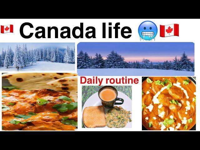 Pakistani Vlogs In Canada  My Daily Routine Vlog Winter Time