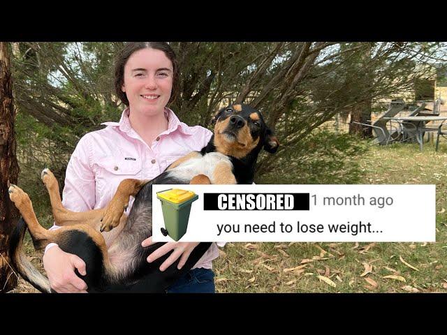 Another Expert in the Comments! Australian Sheep Farm Vlog