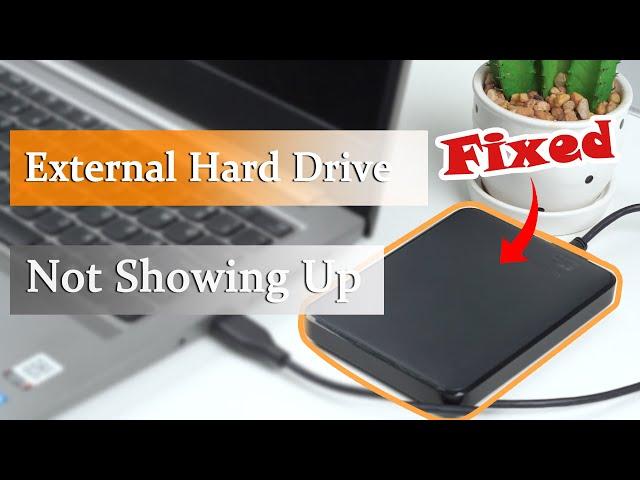 【Fixed】External Hard Drive Not Showing Up in My Computer