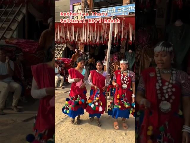 Kathariya Tharu culture Dance  18/05/2024 #dance #love #lumbinivlog #song
