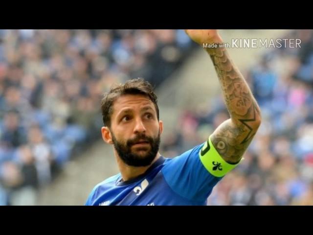 Hamburg vs Darmstadt 1-2 alle Tore und Highlights