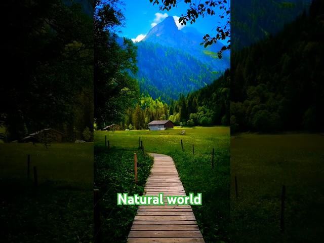 Natural world #nature #goodvibes