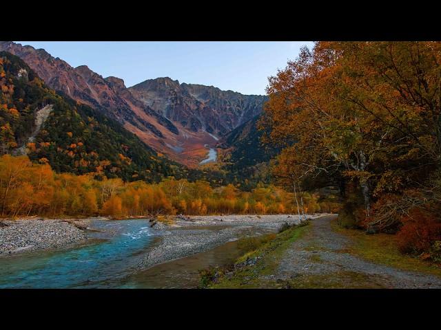 Walking in Japan Alps on Crisp Autumn Morning | Kamikochi 4K