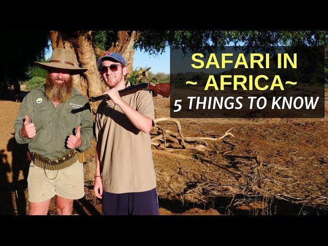 5 Things to Know Before Booking a SAFARI in AFRICA