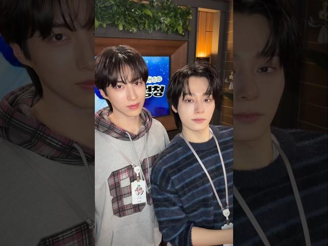 이사배님과 모에모에모에뀽