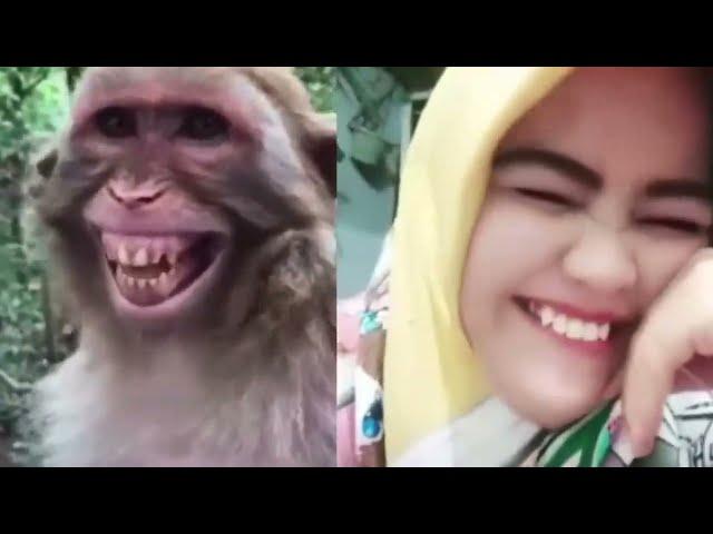 Troll Prank Dog Funny 2023 New Video