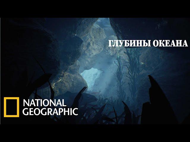 С точки зрения науки  Морская бездна  Документальный фильм National Geographic 2021