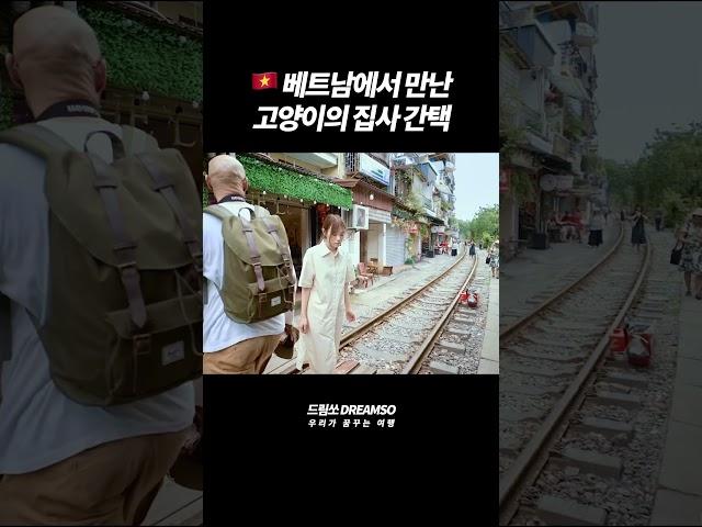  베트남에서 만난 고양이의 집사 간택 [베트남 VLOG] #travel #korean #여행브이로그 #브이로그 #여행유튜버 #해외여행 #베트남 #하노이