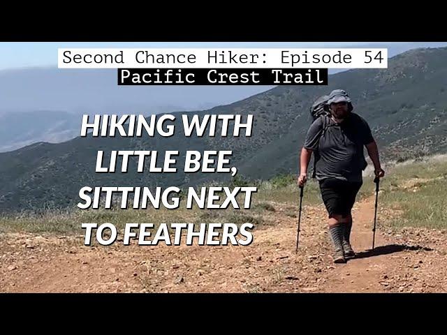 Episode 54: Hiking with Little Bee, Sitting Next to Feathers | PCT