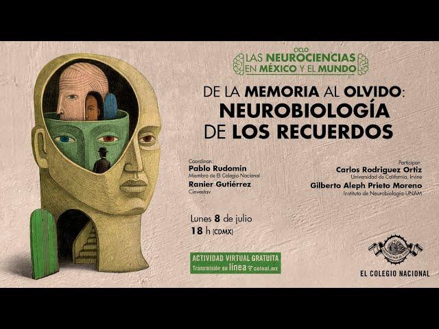 De la memoria al olvido: neurobiología de los recuerdos