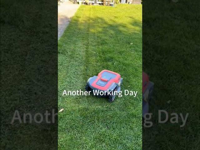 RoboUP Creations: Sweet Lines   #roboup #parallelmowing #lawncare