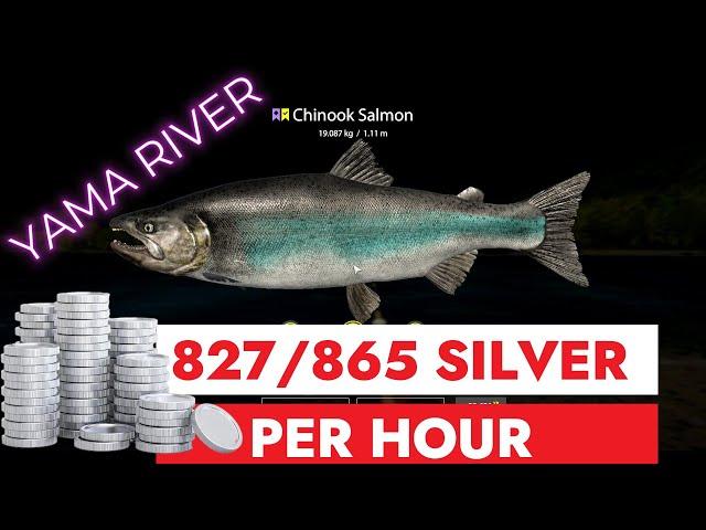 RUSSIAN FISHING 4 - YAMA RIVER - 865 SILVER IN 1 HOUR