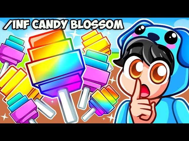 Grow A Garden OWNER Gave Me INFINITE CANDY BLOSSOMS..