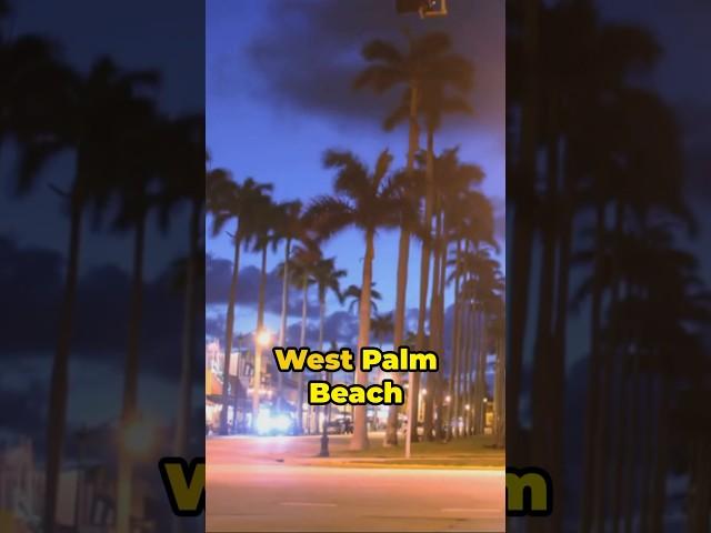 Top 5 Things to do in West Palm Beach 2024! #westpalmbeach #shorts