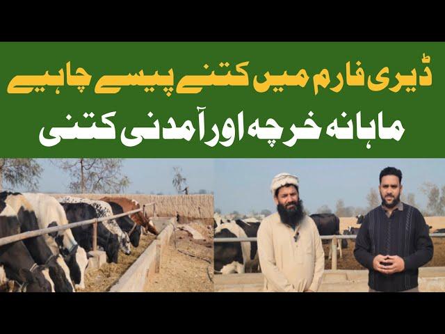 How to Start Dairy Farm |Dairy Farm Business Buffalo|Dairy Farm Business in Punjab