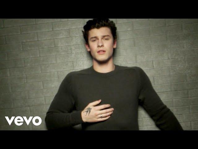 Shawn Mendes - In My Blood