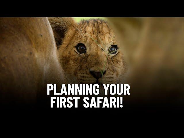 The Ultimate Beginner's Guide to African Safari Planning: Step-by-Step Tips and Tricks!