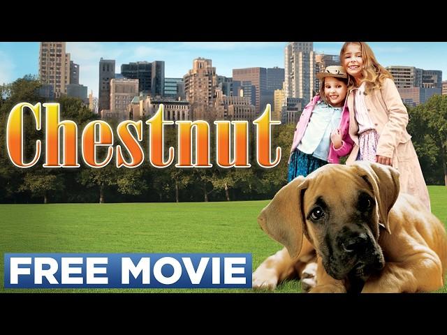 CHESTNUT: THE HERO OF CENTRAL PARK - Official Movie