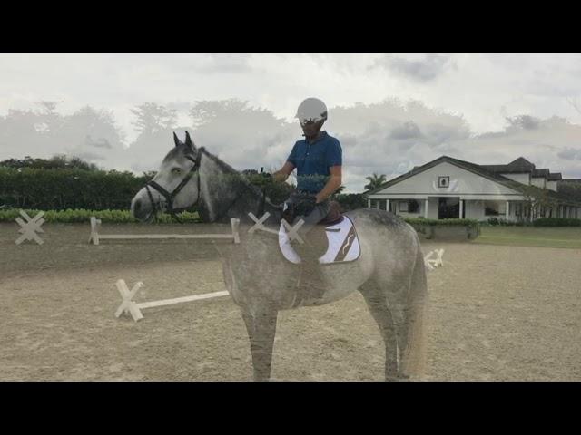 At Home With Glenbeigh Farm | Cavaletti Exercises | Show Jumping Training Tips