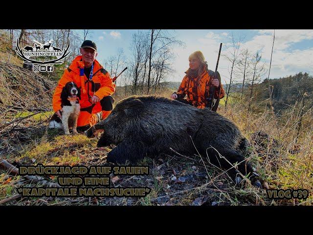 Drückjagd auf Sauen mit "kapitaler Nachsuche" bei Wild und Hund